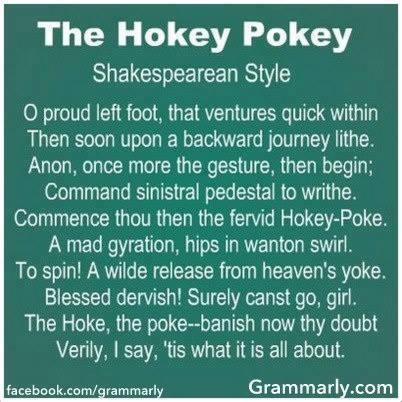 Hokey Pokey.jpg