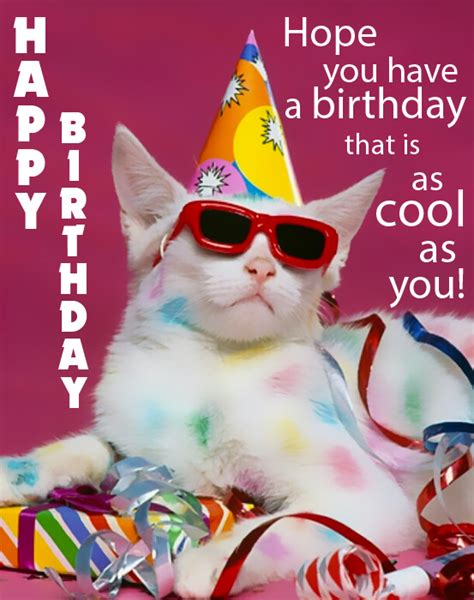 Cool Cat Happy Birthday.jpg