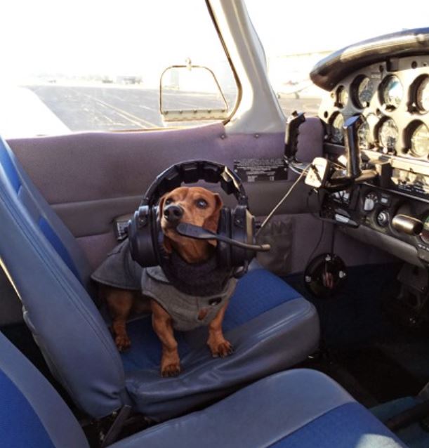 Wiener Dog Copter.JPG