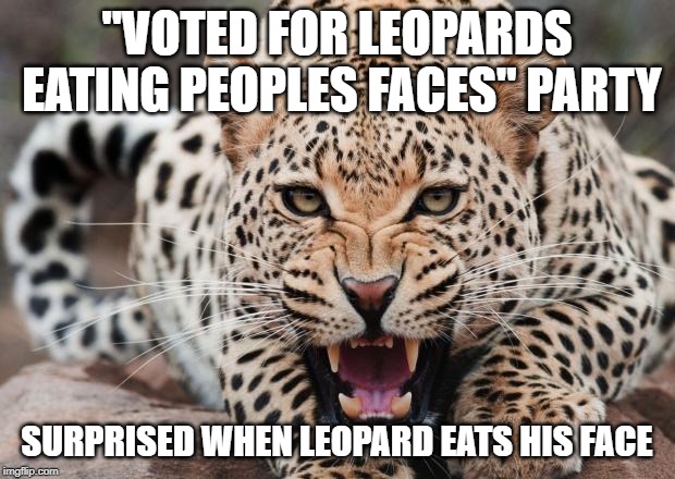 leopards eat faces.jpg