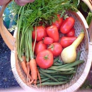 garden bounty.jpg