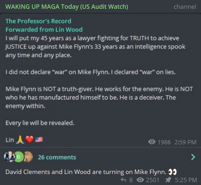 Lin v Flynn.JPG