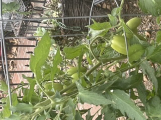 More maters