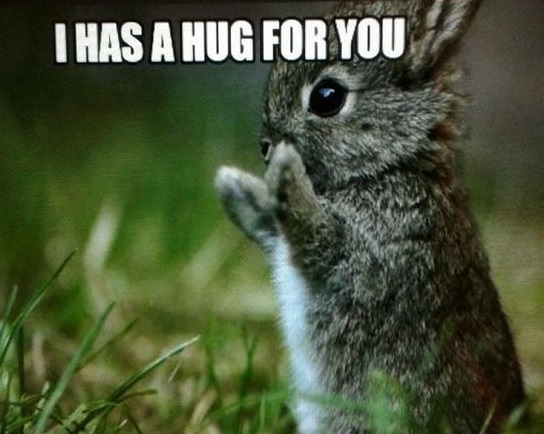 baby_bunny_hug.jpg