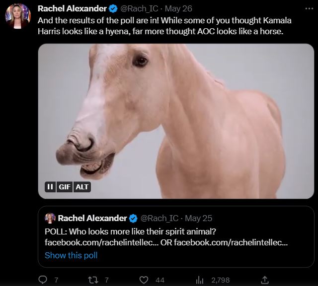 Horse Rachel.JPG