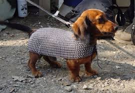 War Dachshund.jpg