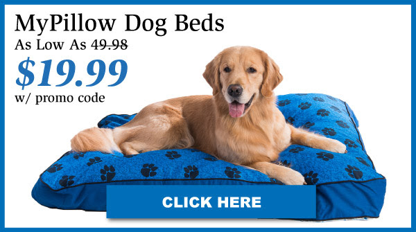 Dog Bed.jpg
