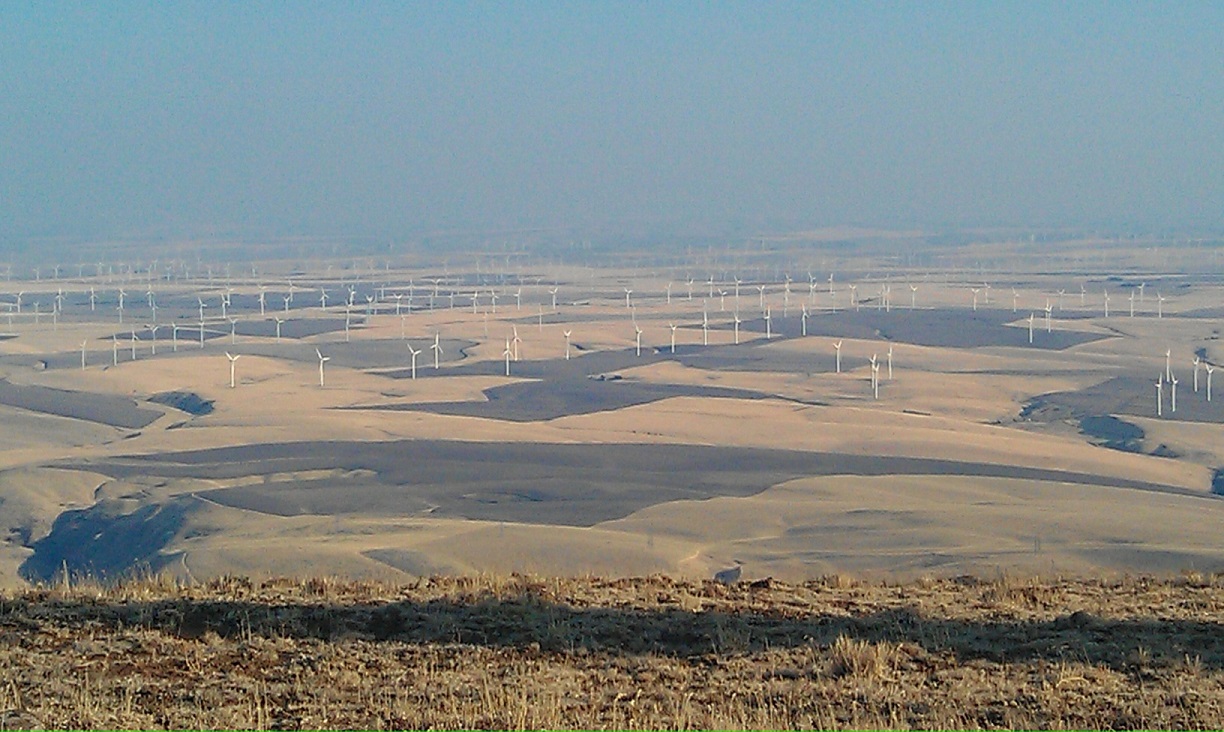 20110830 Arlington wind farm.jpg