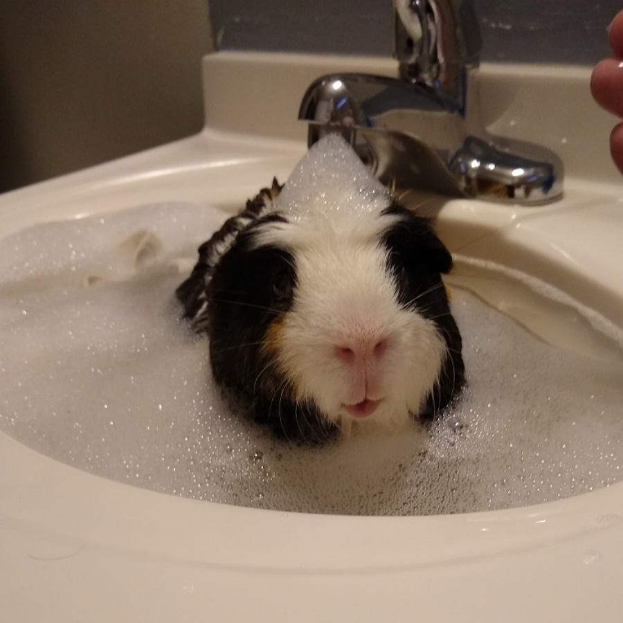 Loving his bath time!