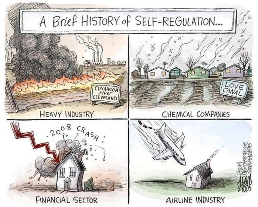 Brief History Self-Regulation.jpg