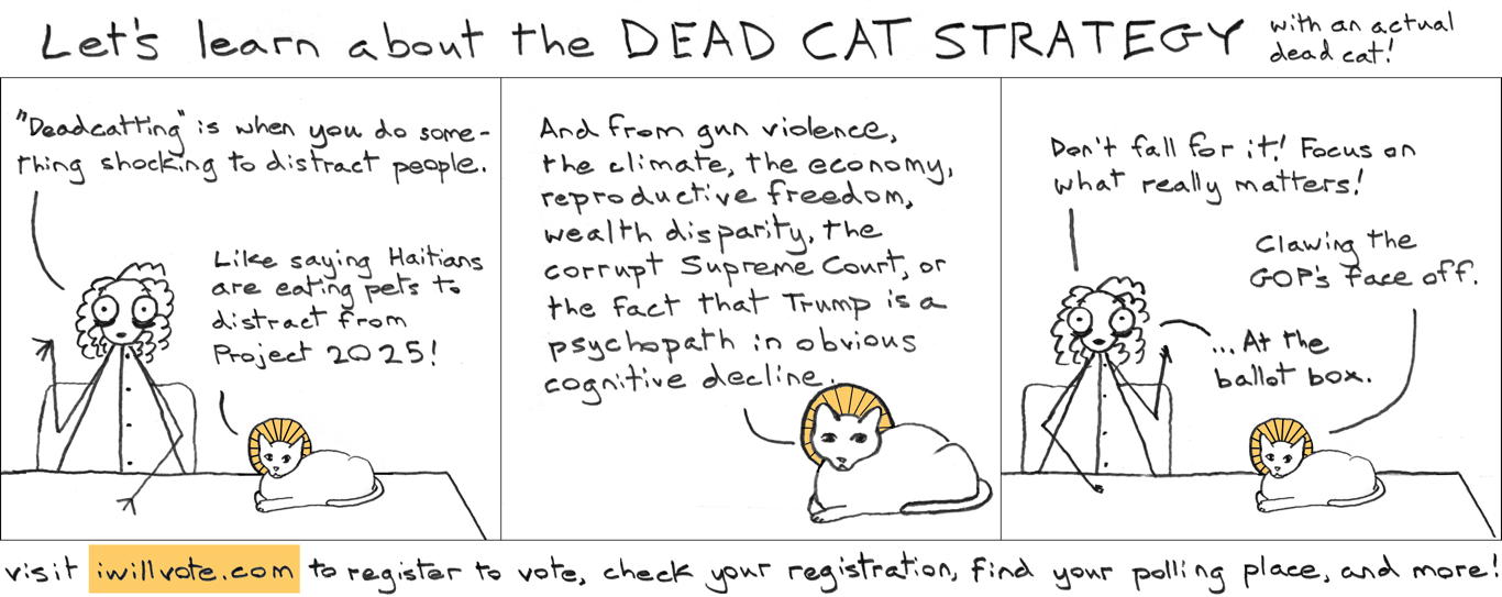 2024-09-17-dead-cat-strategy-1[1].jpg