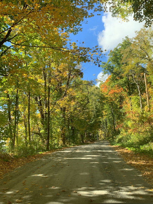 Dirt Road in Autumn sm.jpg