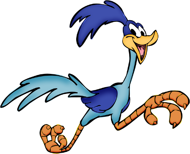 roadrunner.png