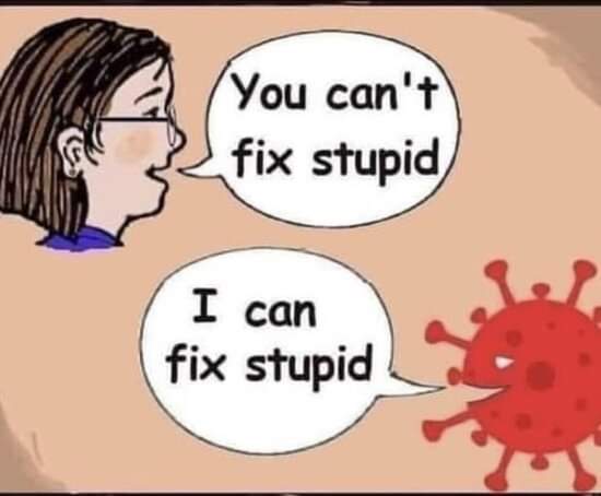 Fix Stupid.jpg