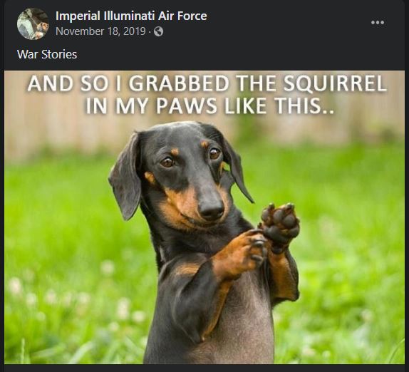 Squirrel.JPG