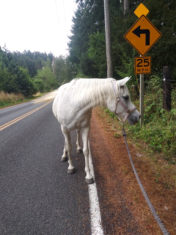 Az makes sure she's not exceeding speed limit.jpg