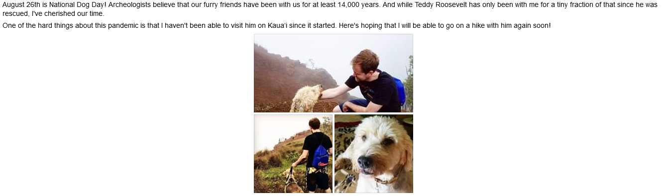 August 26th is National Dog Day  Facebook.png