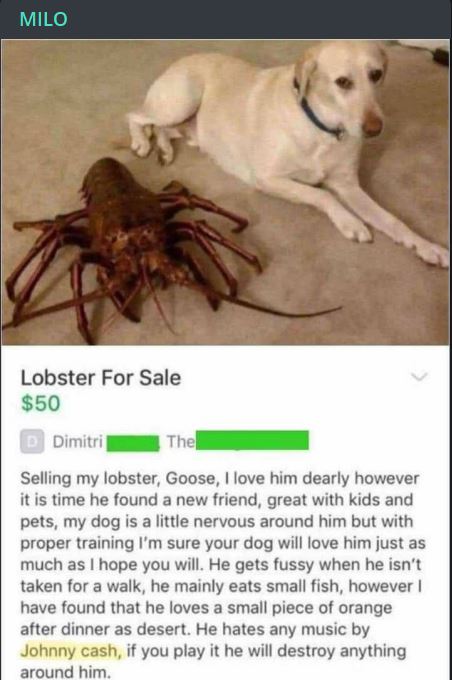 Lobster.JPG