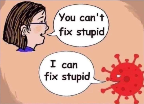 Fixing stupid.png