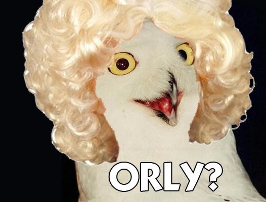 OrlyTaitzOwl.jpg