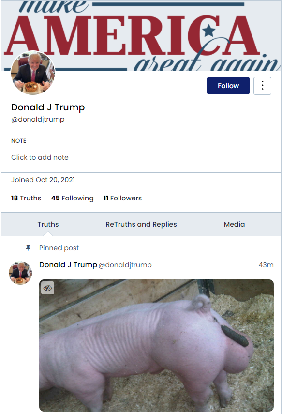 DJT Pig.png