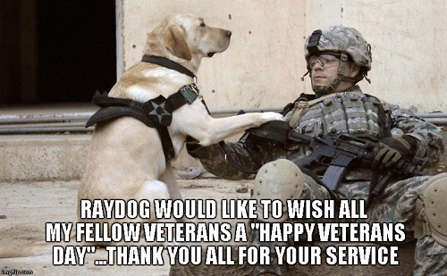 Veterans-Day-Memes-image-6.jpg