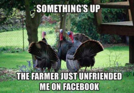 thanksgiving-memes-to-stuff-your-face-with-in-preparatio_026.jpg