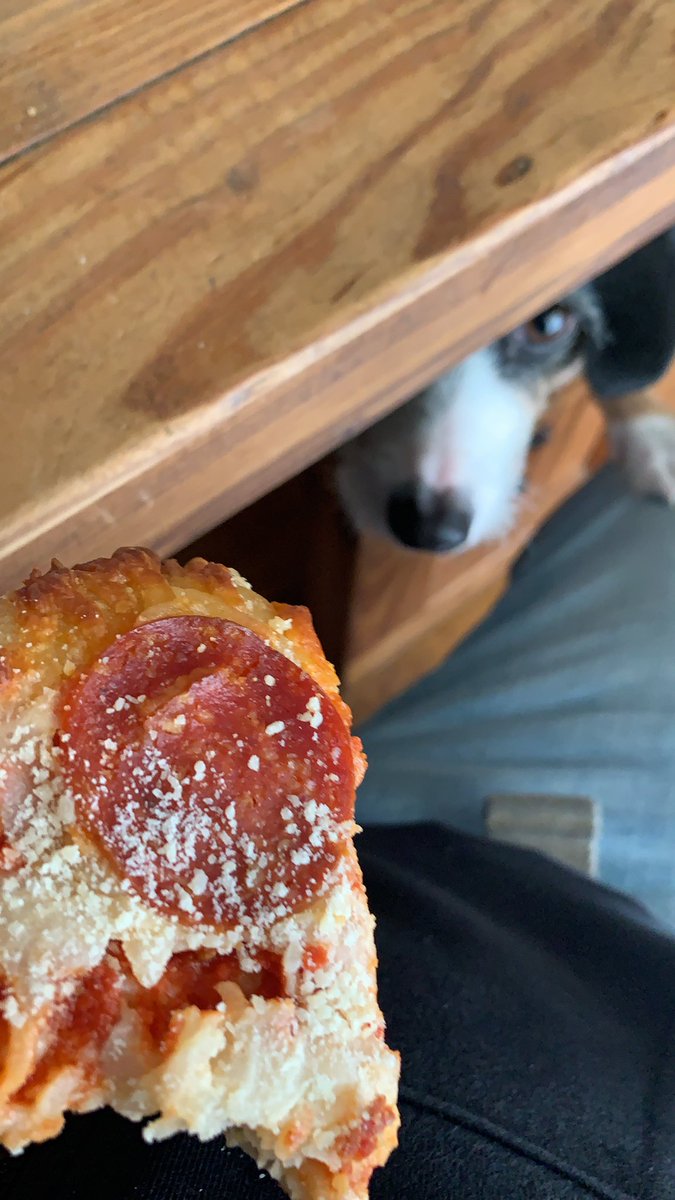 Pizza dog.jpg
