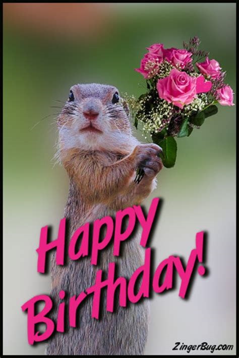 bday squirrel.jpg