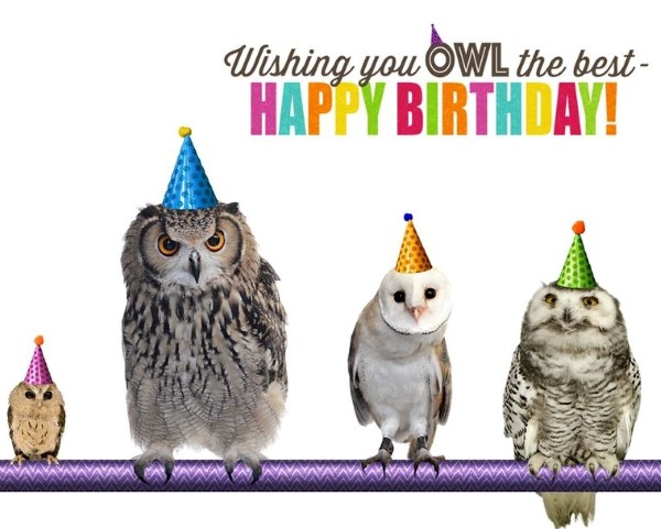 birthday-ecards-owl-the-best-ecard--master.jpg