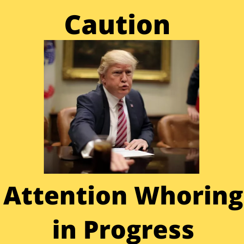 attention whoring.png