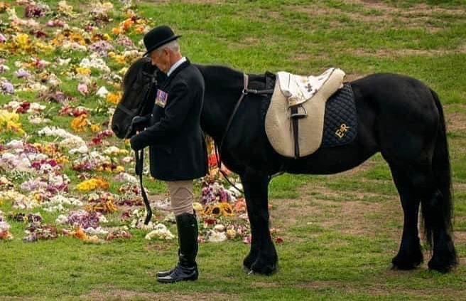 Emma, the Queen's Fell Pony and her groom..jpg