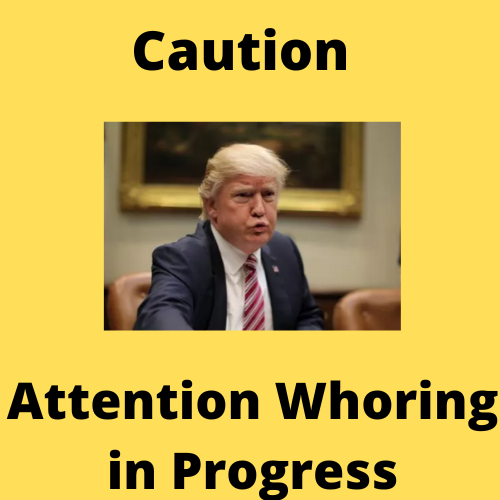 attention whoring-2.png