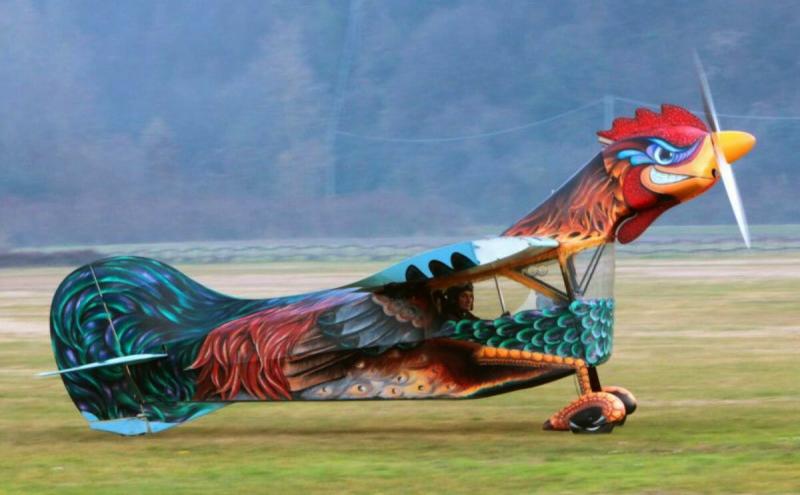 rooster plane.jpg