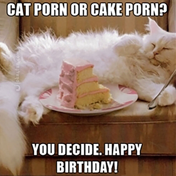 Cat and Cake.jpg