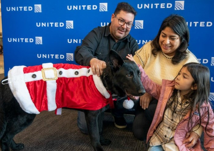 united-puppy-adopted.jpg