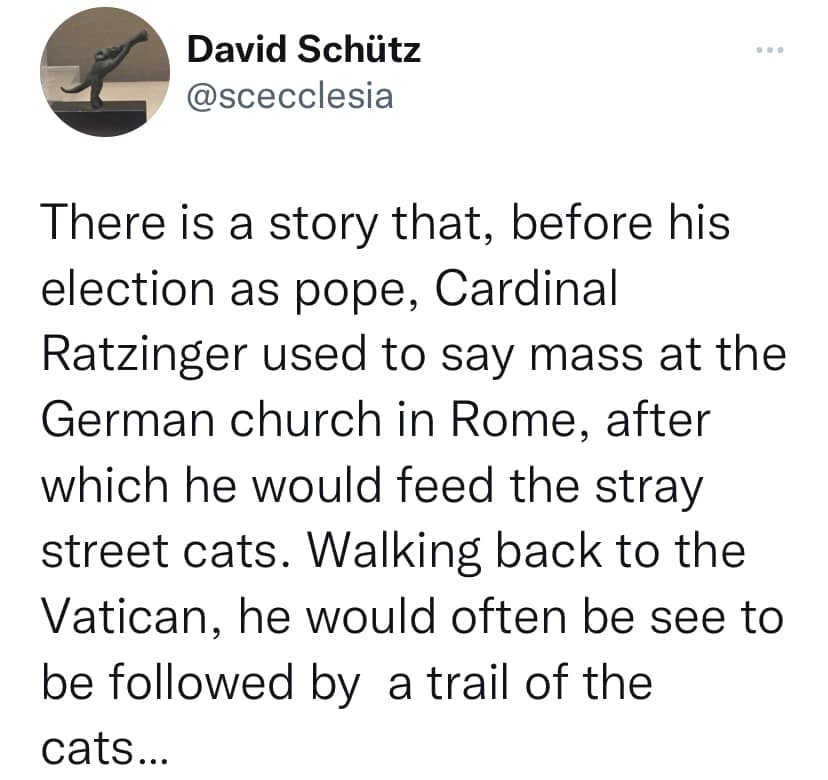 Popecat01.jpg