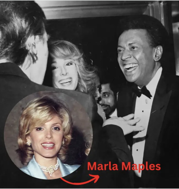 e jean caroll v marla maples.jpg